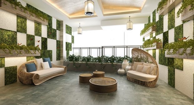 Plants in Our Interiors