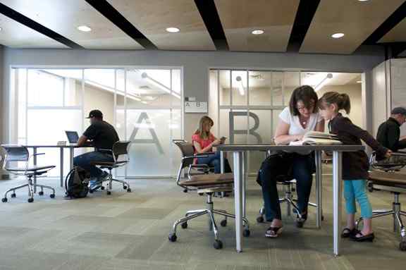 Silver Clear Linen Cherry Creek Library School Staged